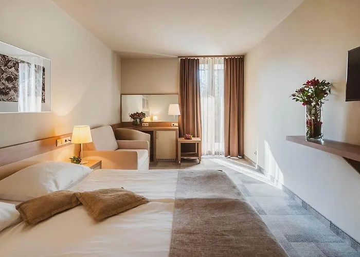 Hotel Terme Olimia - Breza Podcetrtek